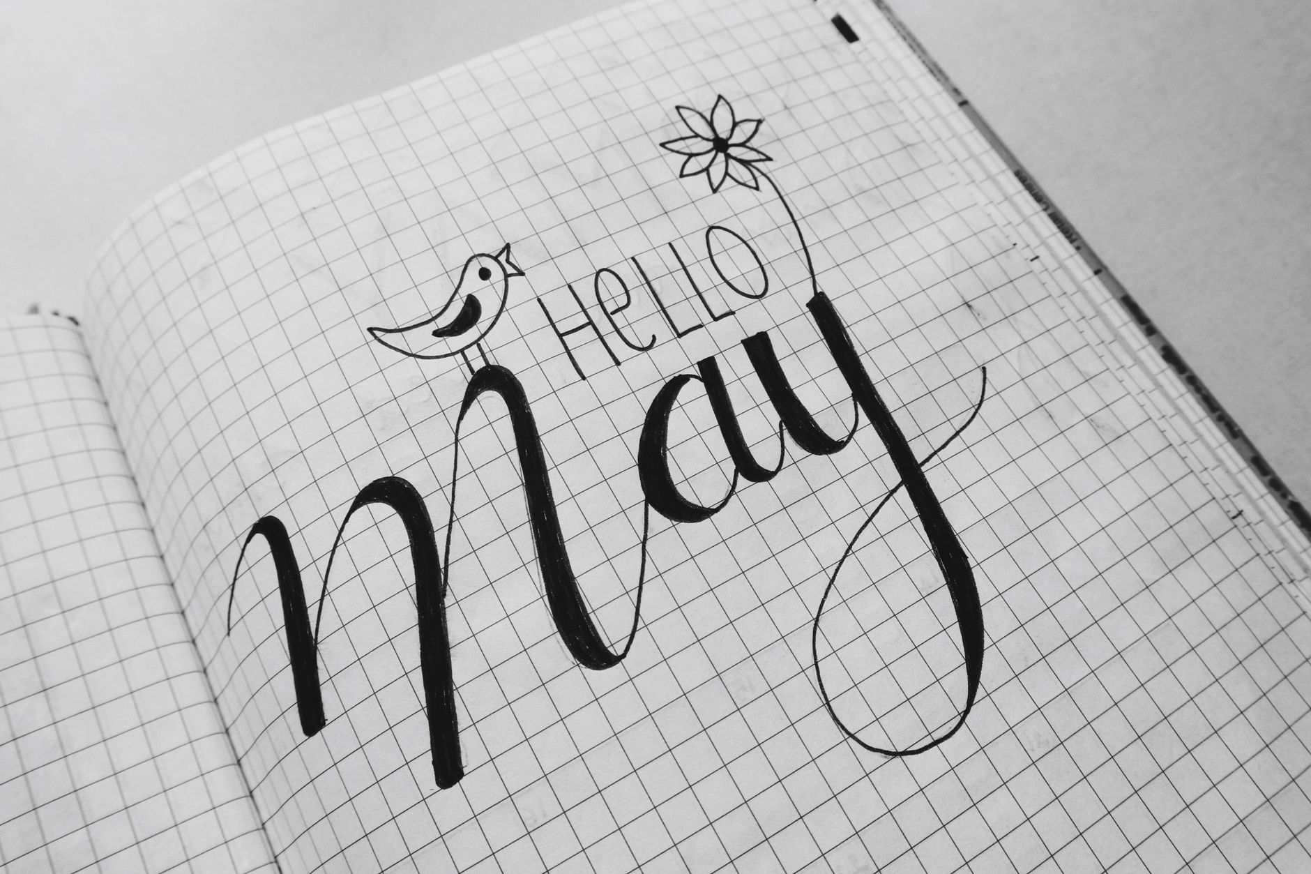 Dotted vs Lined vs Grid Notebooks: Which is Best for Bullet Journaling?