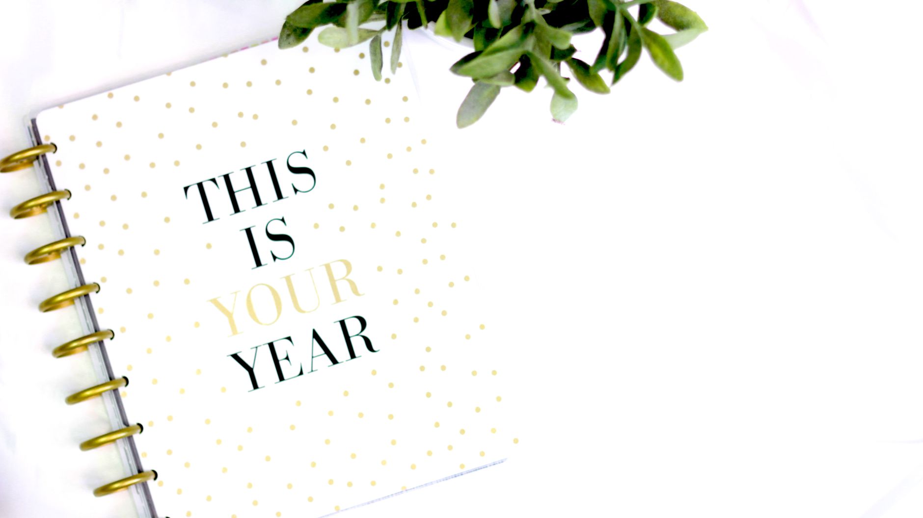 New Release: The Midlife Edit: Rewrite Your Story, Reclaim Your Joy - BulletJournals