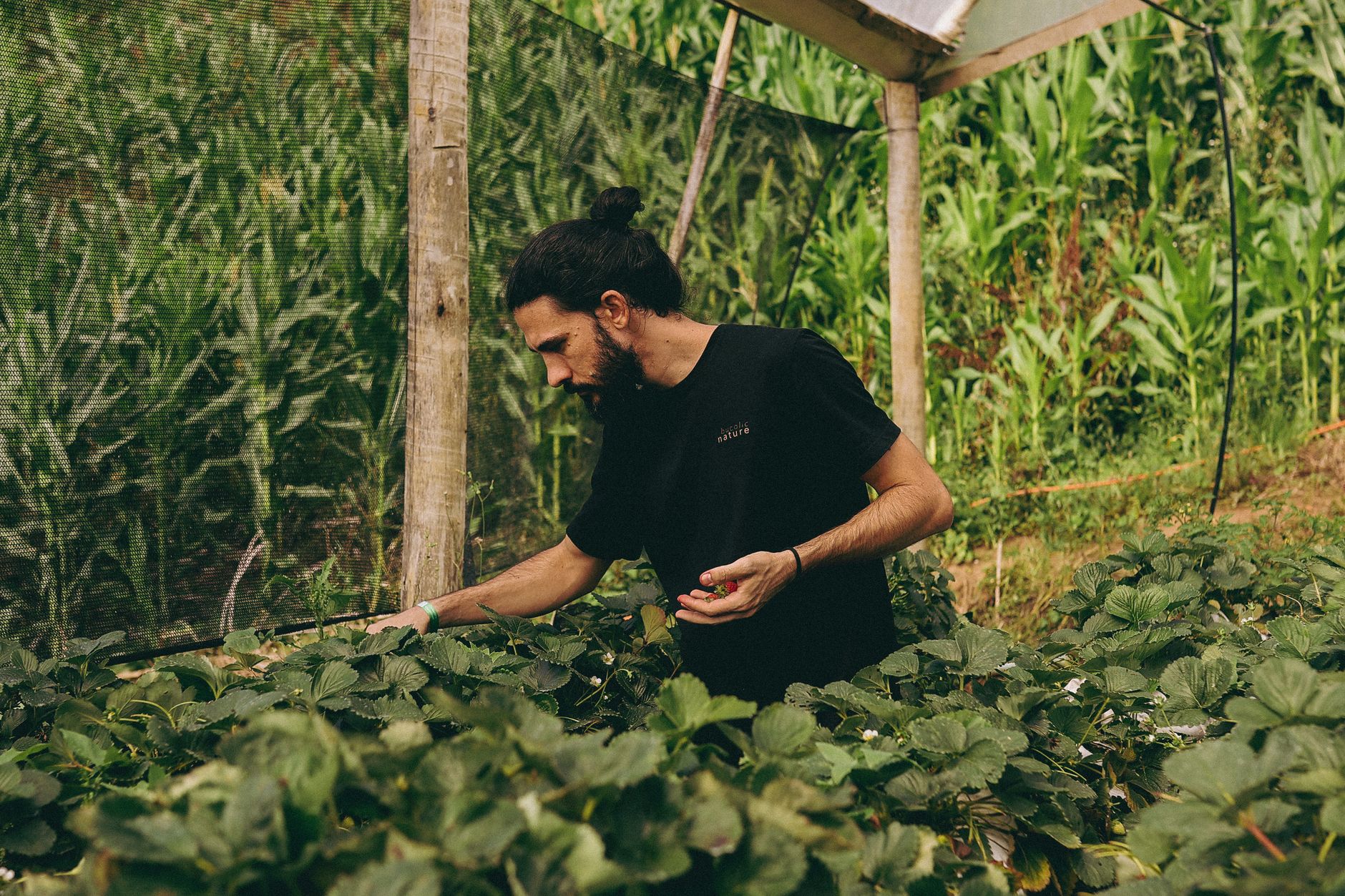 Beyond the To-Do List: Cultivating Meaningful Growth - bulletjournals
